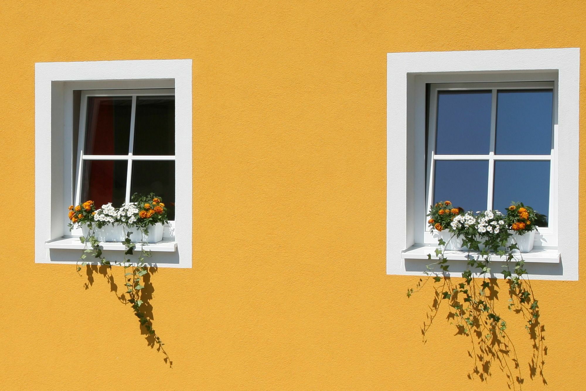 Apartament Ante Portas *